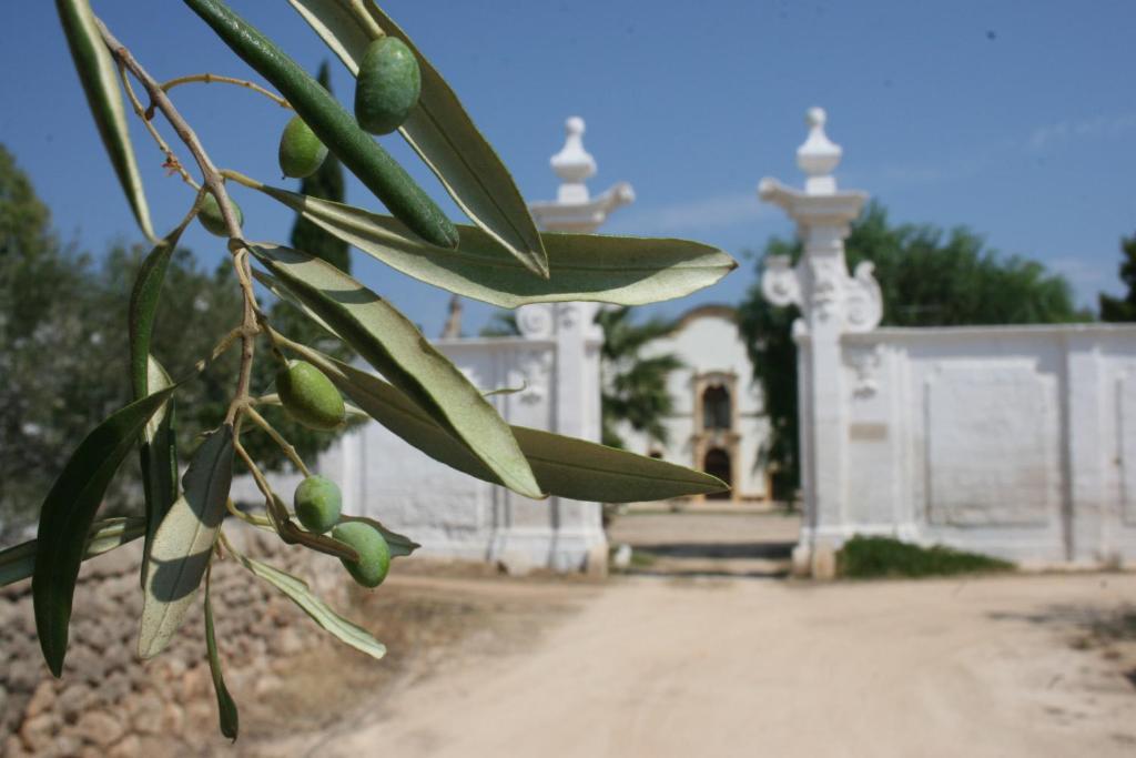 Masseria Maccarone Fasano Exterior photo