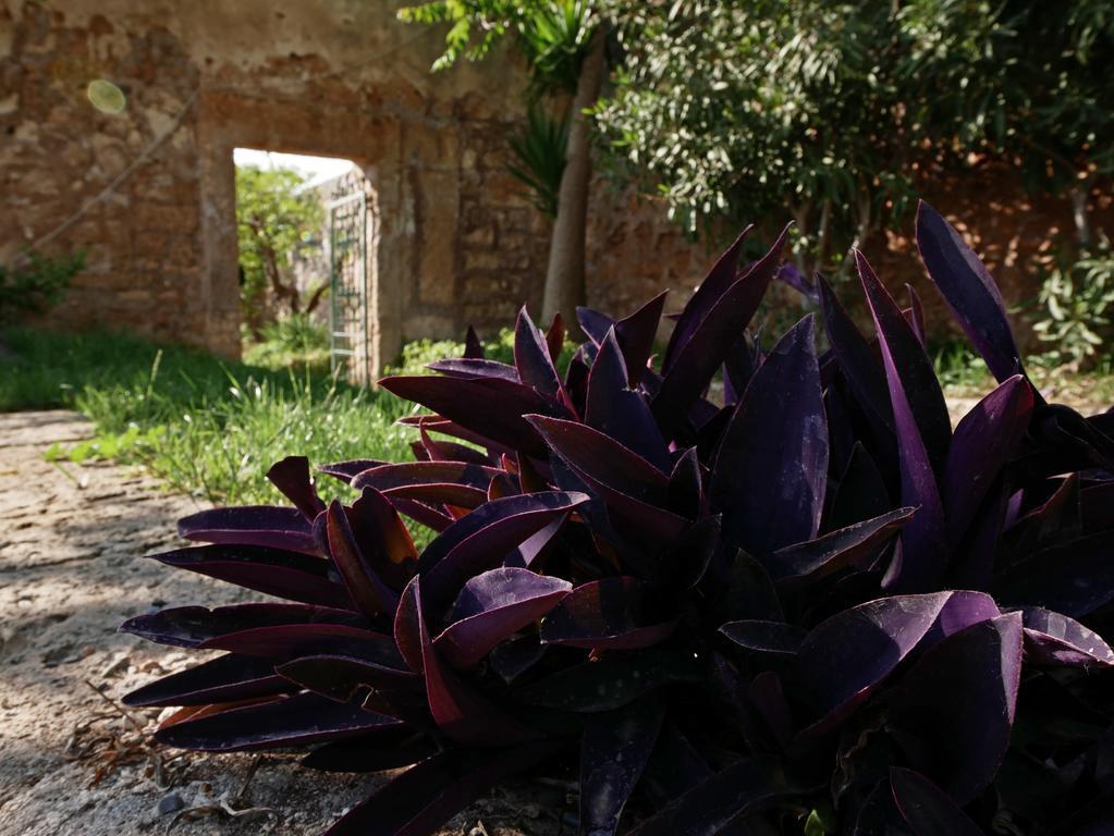 Masseria Maccarone Fasano Exterior photo